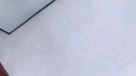 Hidden black chicken