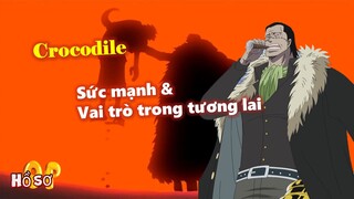 Tất tần tật về “Vua sa mạc” Crocodile: Sức mạnh và Vai trò trong tương lai