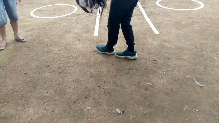 first fight talisay 2hits ulutan sa binan