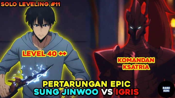 ADU KEKUATAN OVERPOWER❗❗ PERTARUNGAN EPIC JINWOO VS IGRIS - alur cerita anime