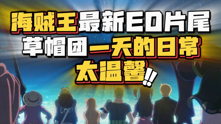 The Official Straw Hat Crew’s Daily Routine! This ED is Absolutely Legendary! The crew’s morning-to-