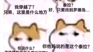 龙猫梗图加长版