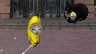 ครูพละ จื่ออ้าวหมา เลือกสรรนักกีฬาวิ่งระยะสั้นที่หน้าประตูโรงอาหาร