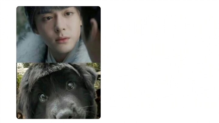 ฉันหัวเราะจนตายในคอมเมนต์ของ Yun Zhiyu 3.0 ฮ่าฮ่าฮ่าฮ่าฮ่าฮ่า