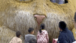 ฉันนำแมวยักษ์สูง 20 เมตรมามีชีวิตในเมือง