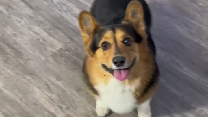 Biểu diễn khá tốt, làm thêm một lần nữa đi!