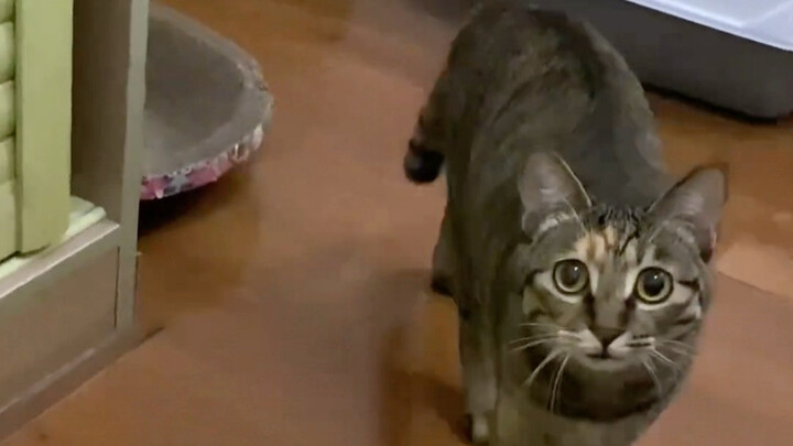 Sayang, aku udah kangen banget sama kamu, cepetan deh biar aku bisa lihat kamu!