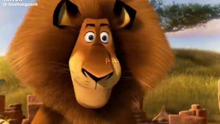 the wheat starch glycolat