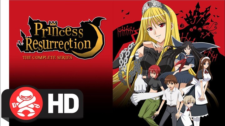 Princess Resurrection the Complete Series | Available June 02