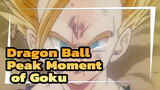 Dragon Ball|Peak Moment of Goku,Collection I