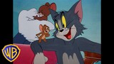 Tom und Jerry auf Deutsch 🇩🇪 | Von Feinden zu Freunden ❤️ | @WBKidsDeutschland​