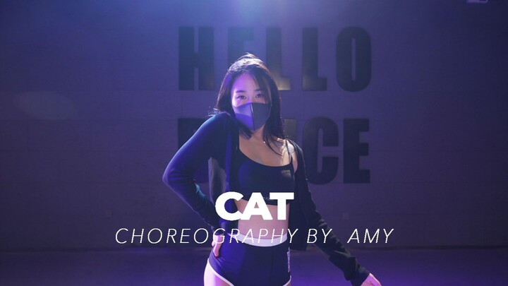 【HELLODANCE课堂】美斯 choreo - cat
