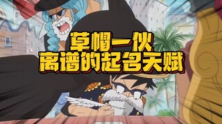 永远不知道草帽团这帮人能想出什么乱七八糟的名字