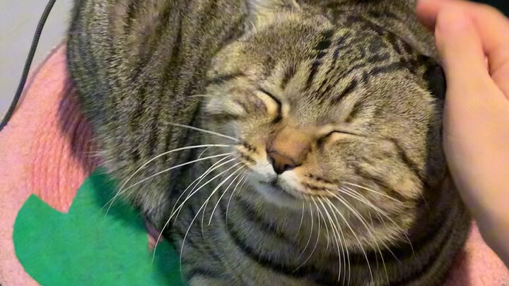 What should I do? I'm only four years old!