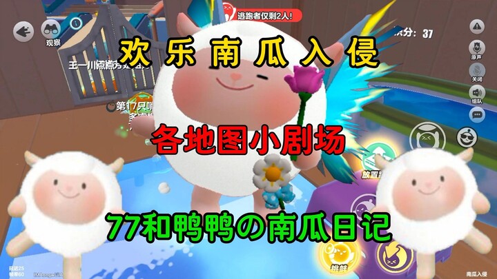 【南瓜入侵】“无敌”点也不是无敌的！77和鸭鸭的南瓜日记！