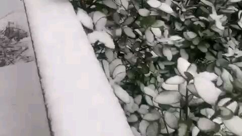 Salju di Korsel.