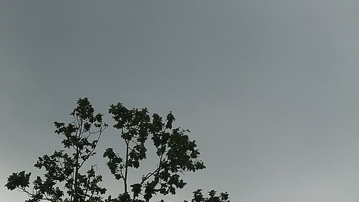 super mausam