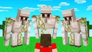 GUESS WHO With IRON GOLEMS! (Minecraft)