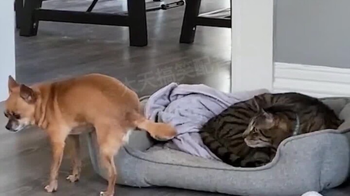 Nhiệt độ là yếu tố quan trọng để duy trì tình cảm