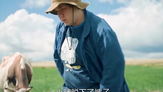 Con bò phải chịu trách nhiệm chính trong vụ tai nạn giao thông. Nó đã xúc phạm ai?