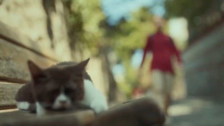 2025-2026 eğitim öğretim yılı için #MilliEğitimHazır