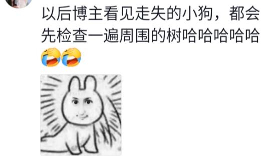 บล็อกเกอร์: หมาหายไปแล้ว😭 เจ้าของ: ผมกำลังเล่นซ่อนหาอยู่บนต้นไม้กับหมาน่ะ😈