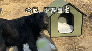 愿这个冬天，所有流浪的孩子都能温暖度过