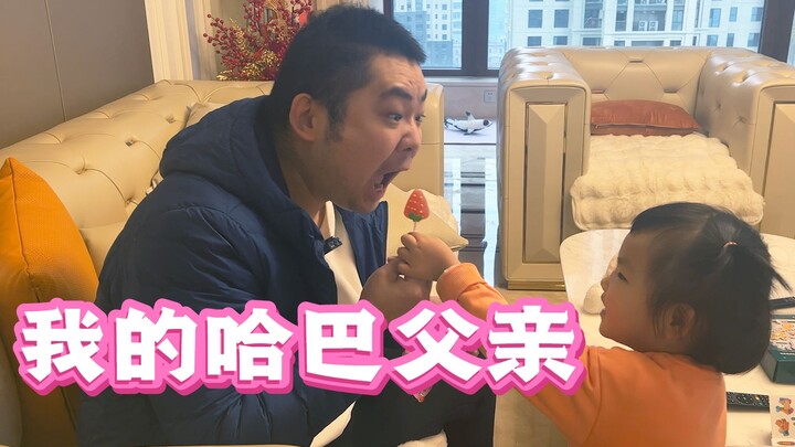 Using my daughter as an excuse to buy myself toys? How do you evaluate my Haba father?