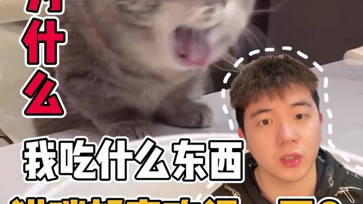 Why does my cat sniff everything I eat?