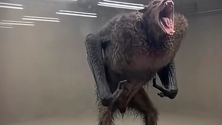 Can your friend beat this mutant?