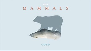 Mammals_2024_S01E04_Cold