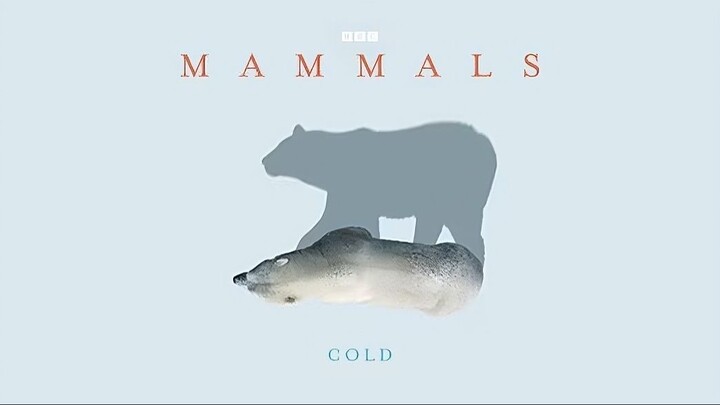 Mammals_2024_S01E04_Cold