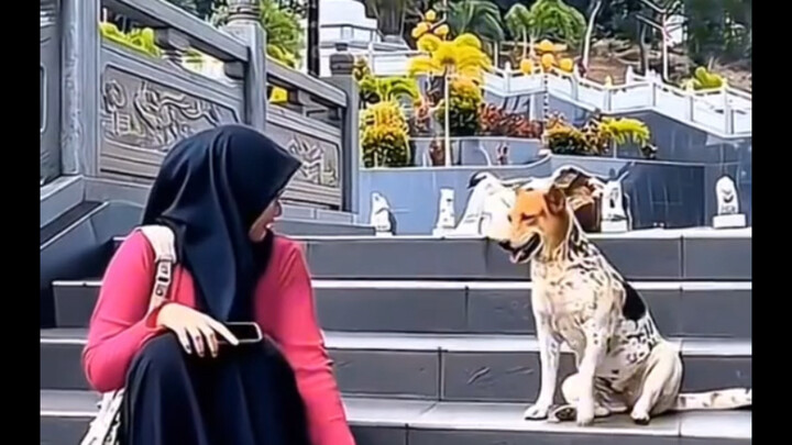 เวลาที่พลังงานต่ำ ได้ดูวิดีโอนี้แล้วช่างปลอบประโลมใจจริงๆ!