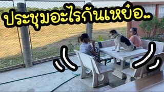 โลกของแสนดี ตอน นั่งประชุมอะไรกันหรอ?