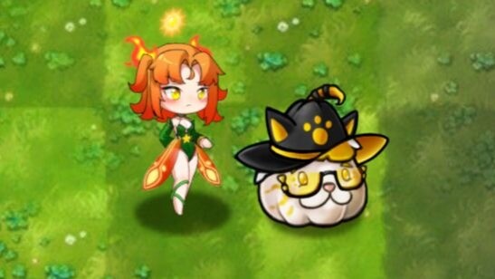 ฟิวชั่นพืช 344: แมวดอกฟักทองฮัลโลวีนกับสาวบัวแดงเพลิง!