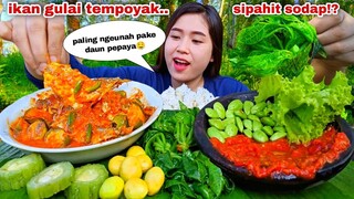 MAKAN IKAN TEMPOYAK GULAI PEDAS REBUSAN DAUN PEPAYA JENGKOL MENTAH CAMPUR PETE PARE  SAMBEL TERASI