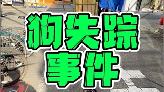 😭Saya kehilangan anjing saya di Jepang!