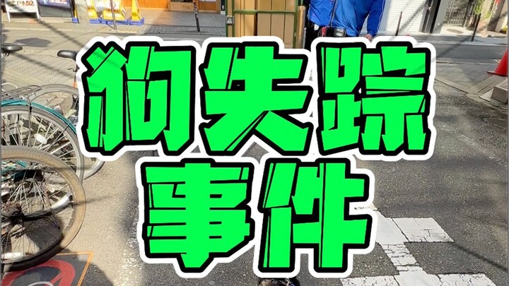 😭I lost my dog in Japan!