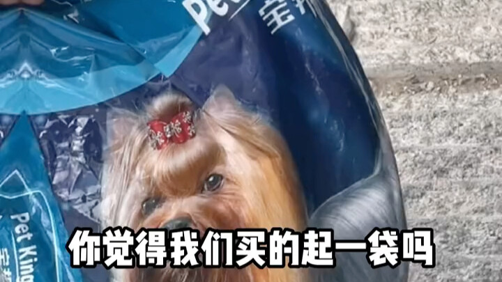 200 tệ đã tiêu hết sau hơn hai ngày ở Tân Cương, chị Hoa bảo thẻ của tôi cũng hỏng rồi, không thể là