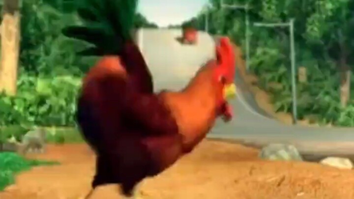 upin ipin ayam rambo