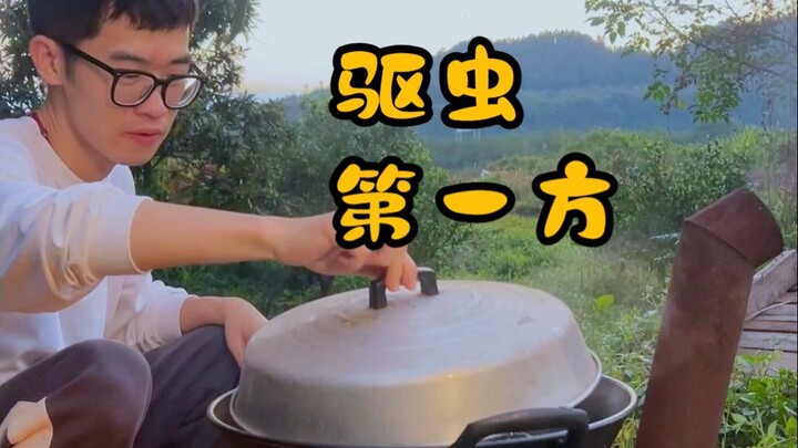 Bagaimana cara membuat Wumei Wan menurut Guru Ni?