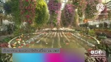 เที่ยวรอบโลก Checklist พาสักการะที่ ศาลเจ้าอิเสะจิงกู ที่ ญี่ปุ่น วันจันทร์ที่ 10 พ.ย. เวลา 16.35 น.