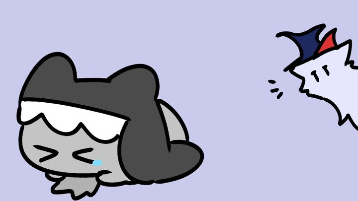 鲨鲨猫不想要掉毛毛！