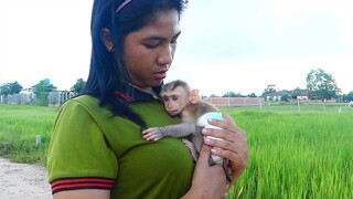 Mom bring baby Maki visit outdoor! Little boy happily to run and eat food with mom at the field