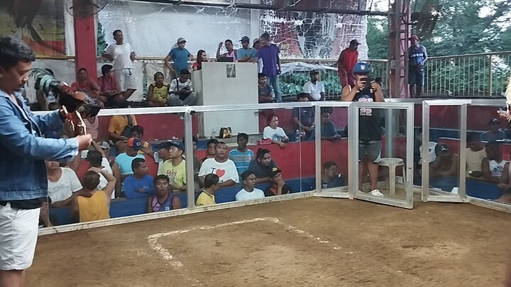 My Claret vs White muff - Balete Cockpit