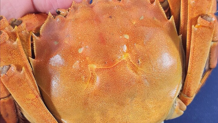 Eating hairy crabs with the eight-piece crab set #crab #hairycrab #eightpiececrabset