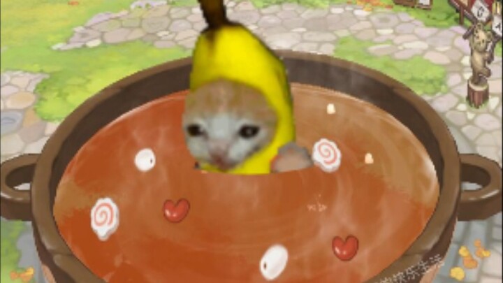 Banana Cat อยู่ที่นี่เพื่อเล่น Tom and Jerry กับแมวตัวจริง