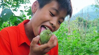 ĐI ĂN TRỘM HOA QUẢ