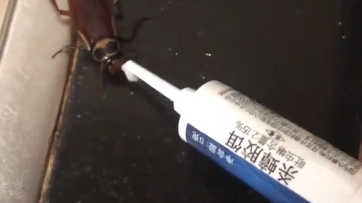 Cày luyện kỹ năng trừu tượng… vẫn thua xa tuyển thủ thiên tài? #75