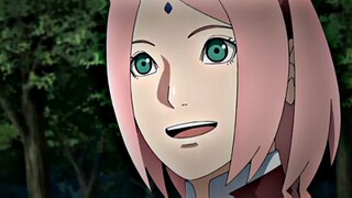 SAKURA MENGATAKAN BAHWA SUDAH TERBIASA DITINGGAL SASUKE😿